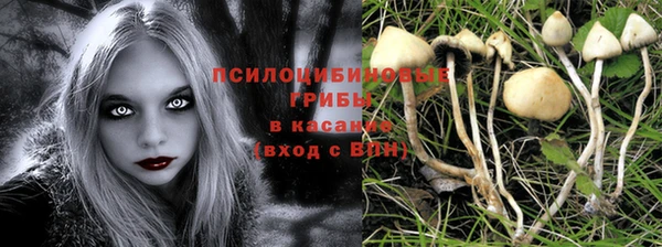 бошки Арсеньев