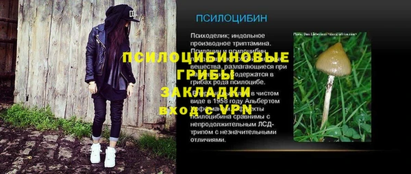 PSILOCYBIN Армянск