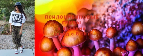 PSILOCYBIN Армянск