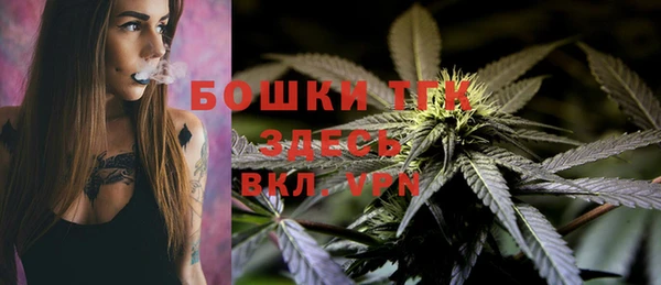 PSILOCYBIN Армянск