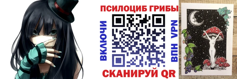 Псилоцибиновые грибы мухоморы  МЕГА сайт  Приволжск  купить  