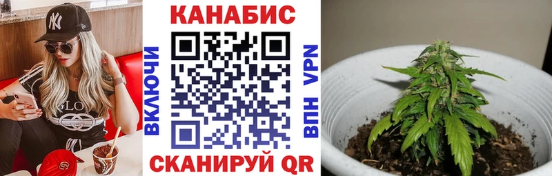 хочу наркоту  Приволжск  Бошки Шишки сатива 