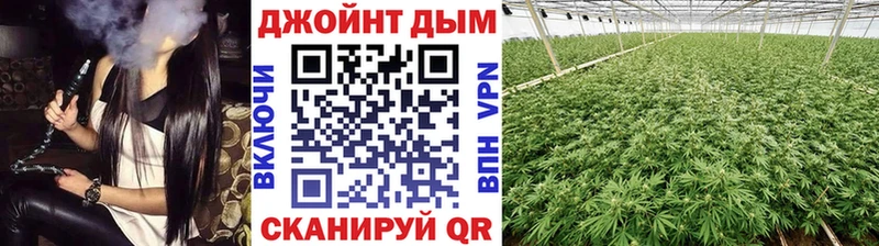 Бошки Шишки семена Приволжск